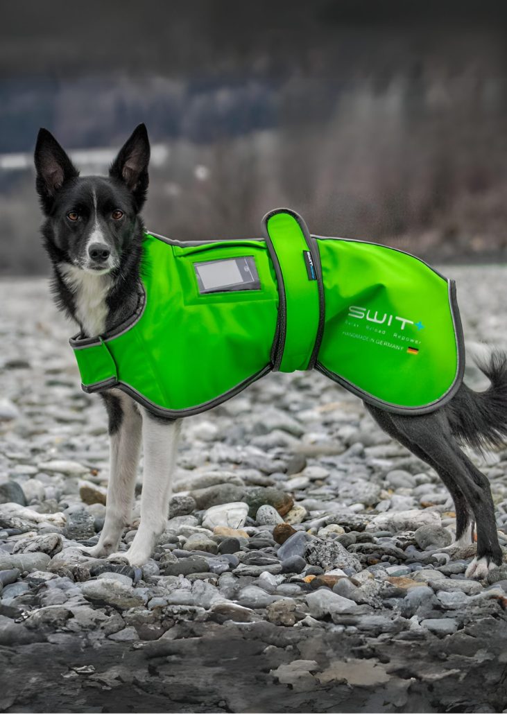 SWIT Products Dog